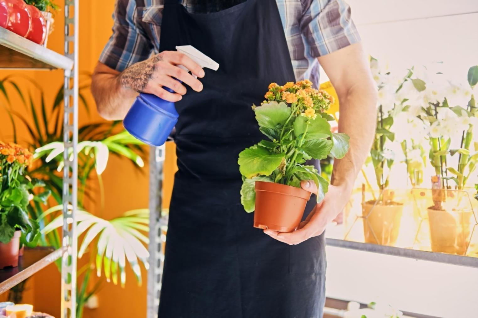 Команда за роботою над новими освітніми програмами