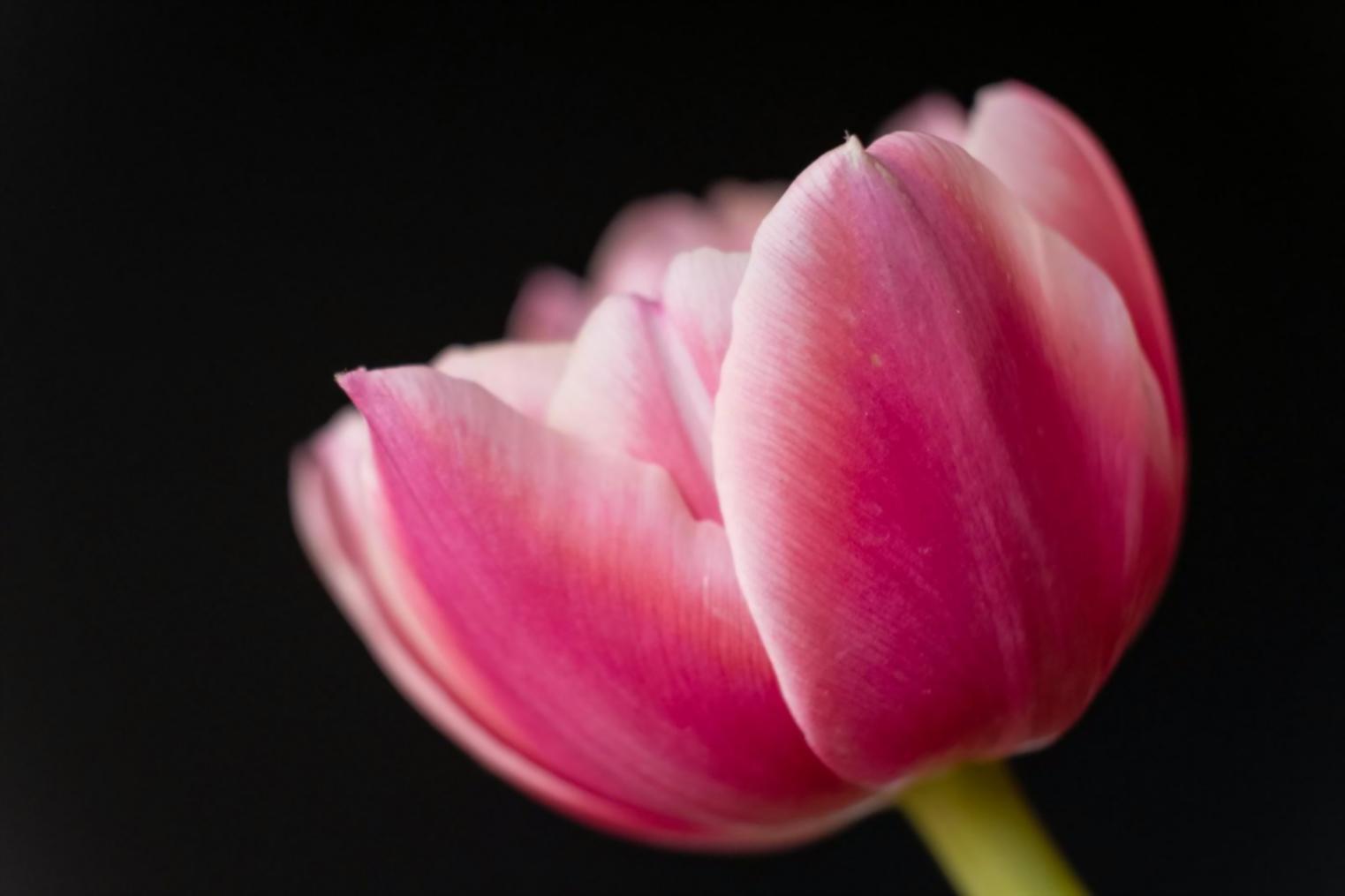 Робоче середовище для навчання framework-технік