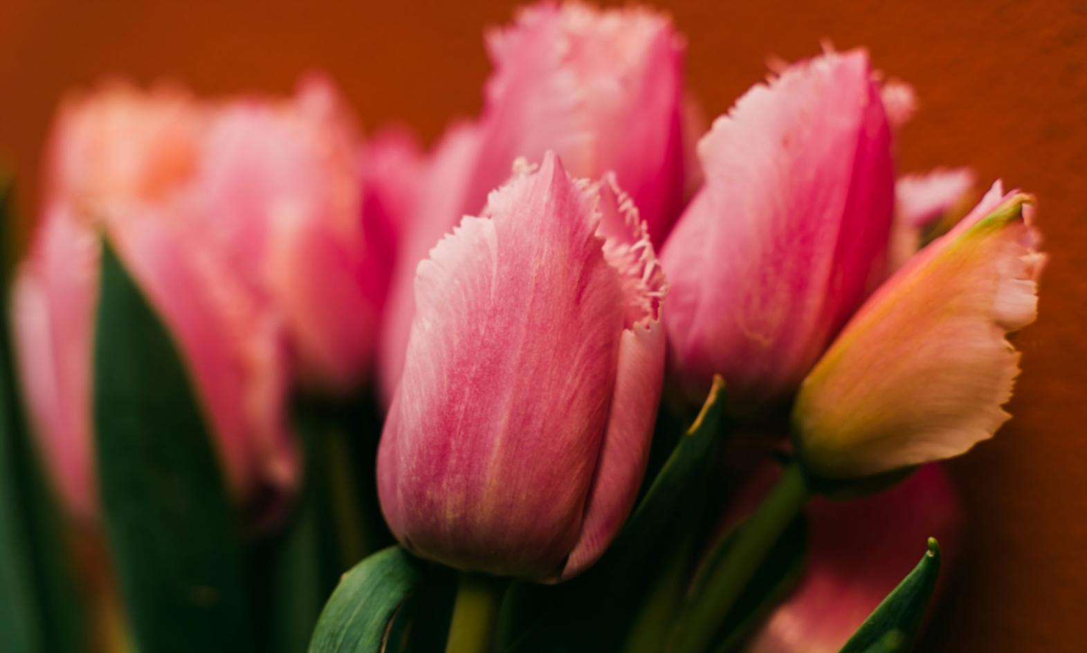 Онлайн-вебінар про кар'єрний розвиток